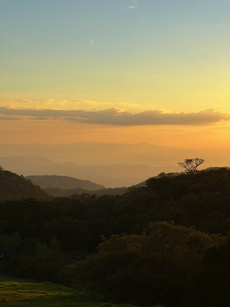 Monteverde Sri Lanka