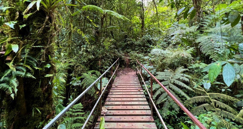 Monteverde Costa Rica