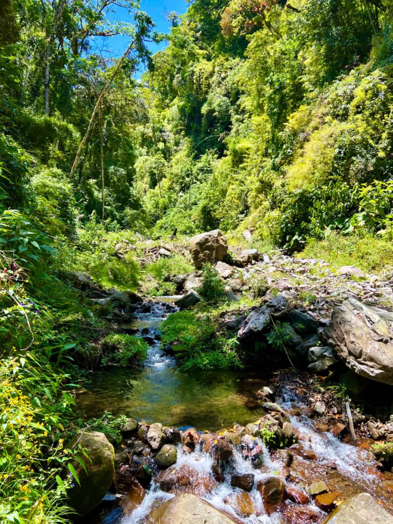 Boquete Panama