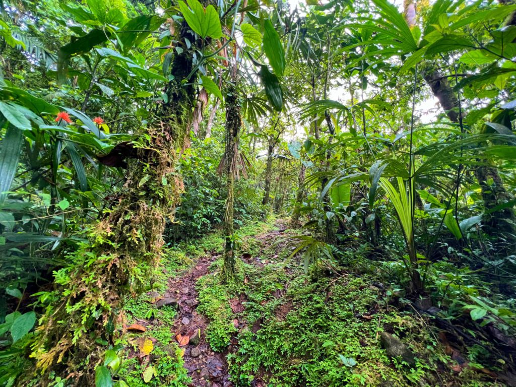 El Valle de Anton Panama