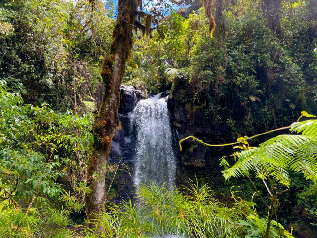 Panama Boquete