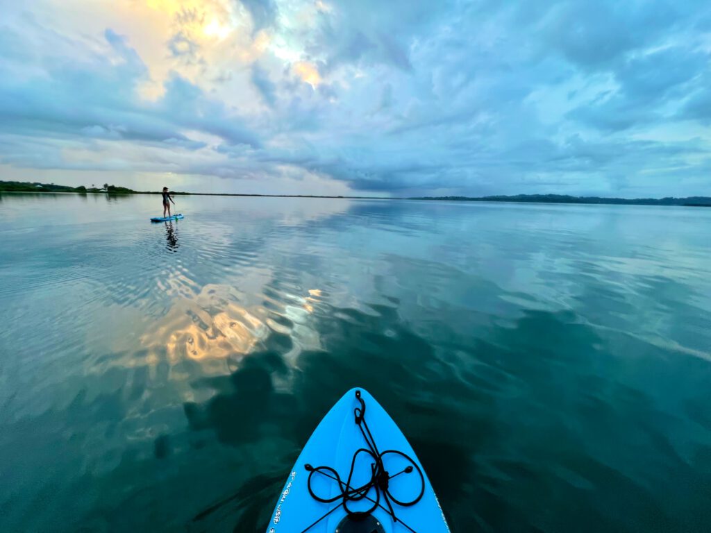 Panama - Dolphin Bay