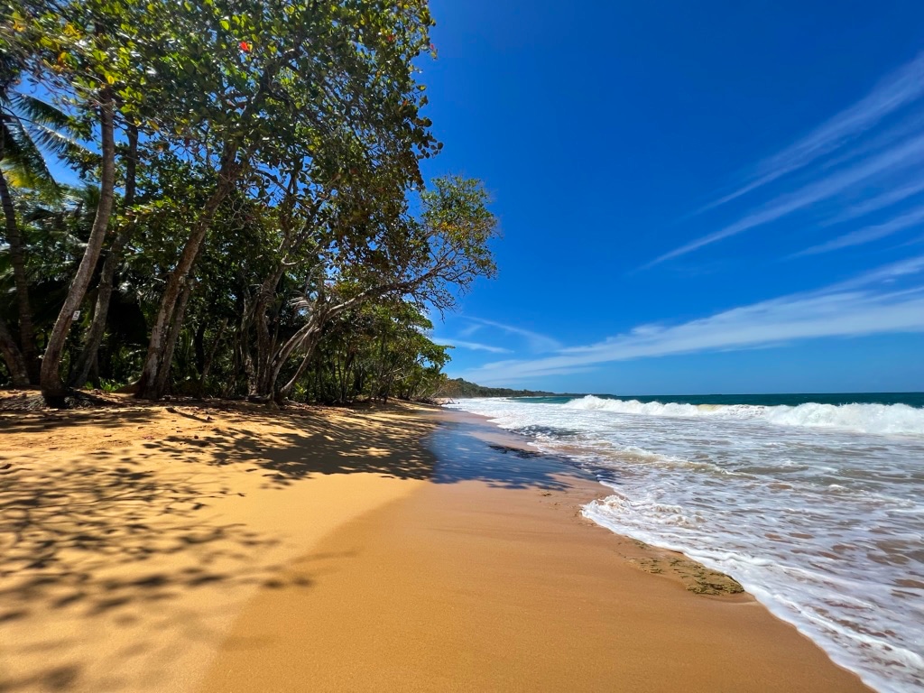 Panam - Bocas del Toro