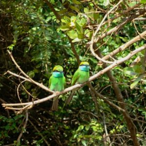 Yala NP Sri Lanka