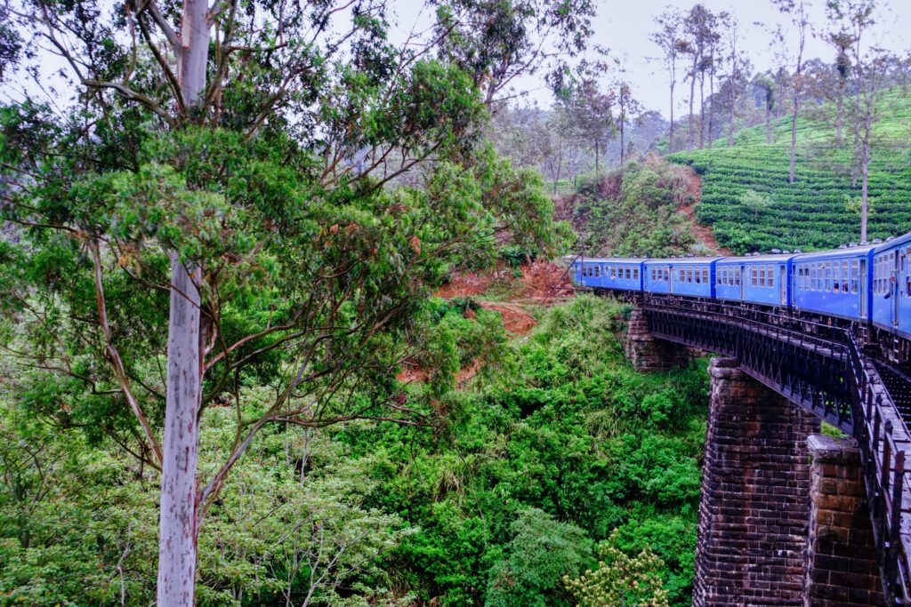 Highlight Sri Lanka