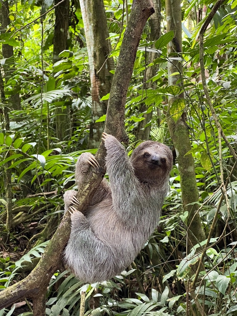 Bogarin Trail Costa Rica