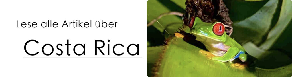 Alle Artikel von Costa Rica