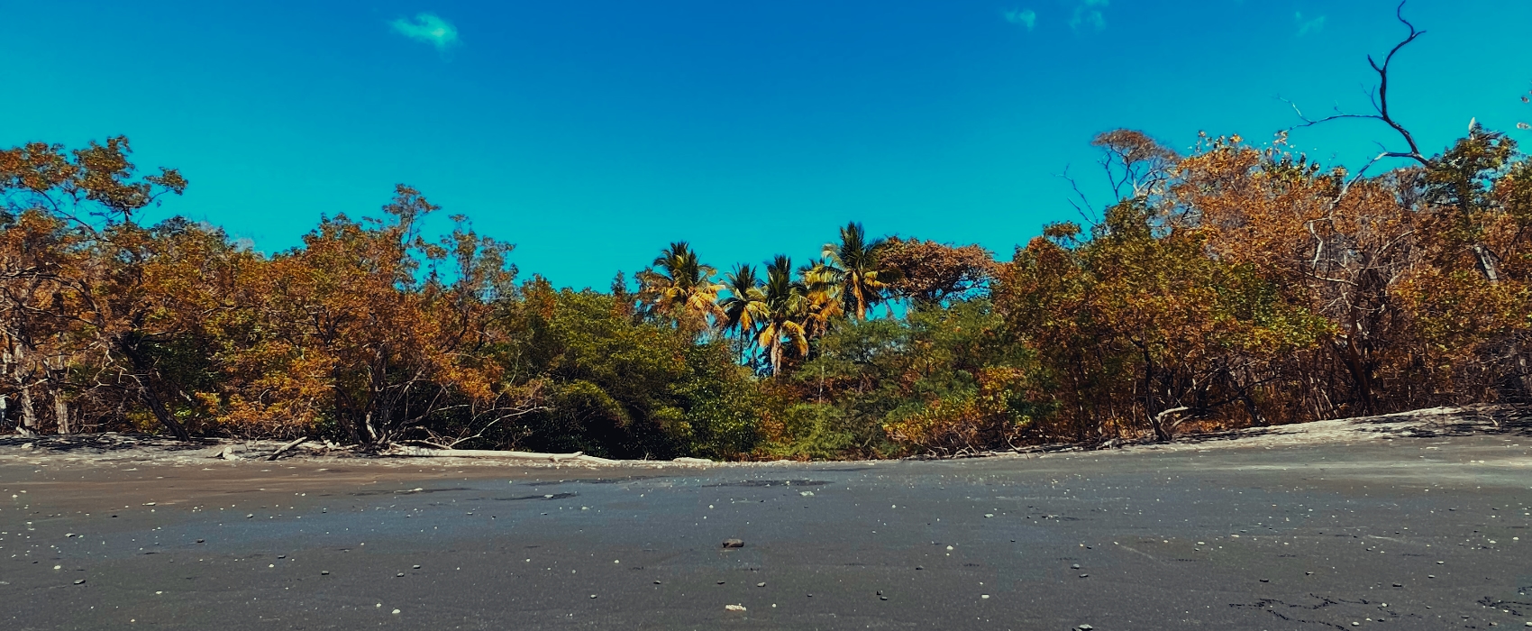 Playa Grande Costa Rica