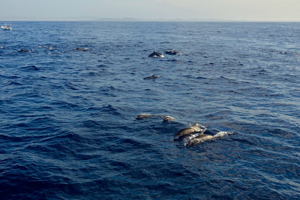 Mirissa Rundreise Sri Lanka