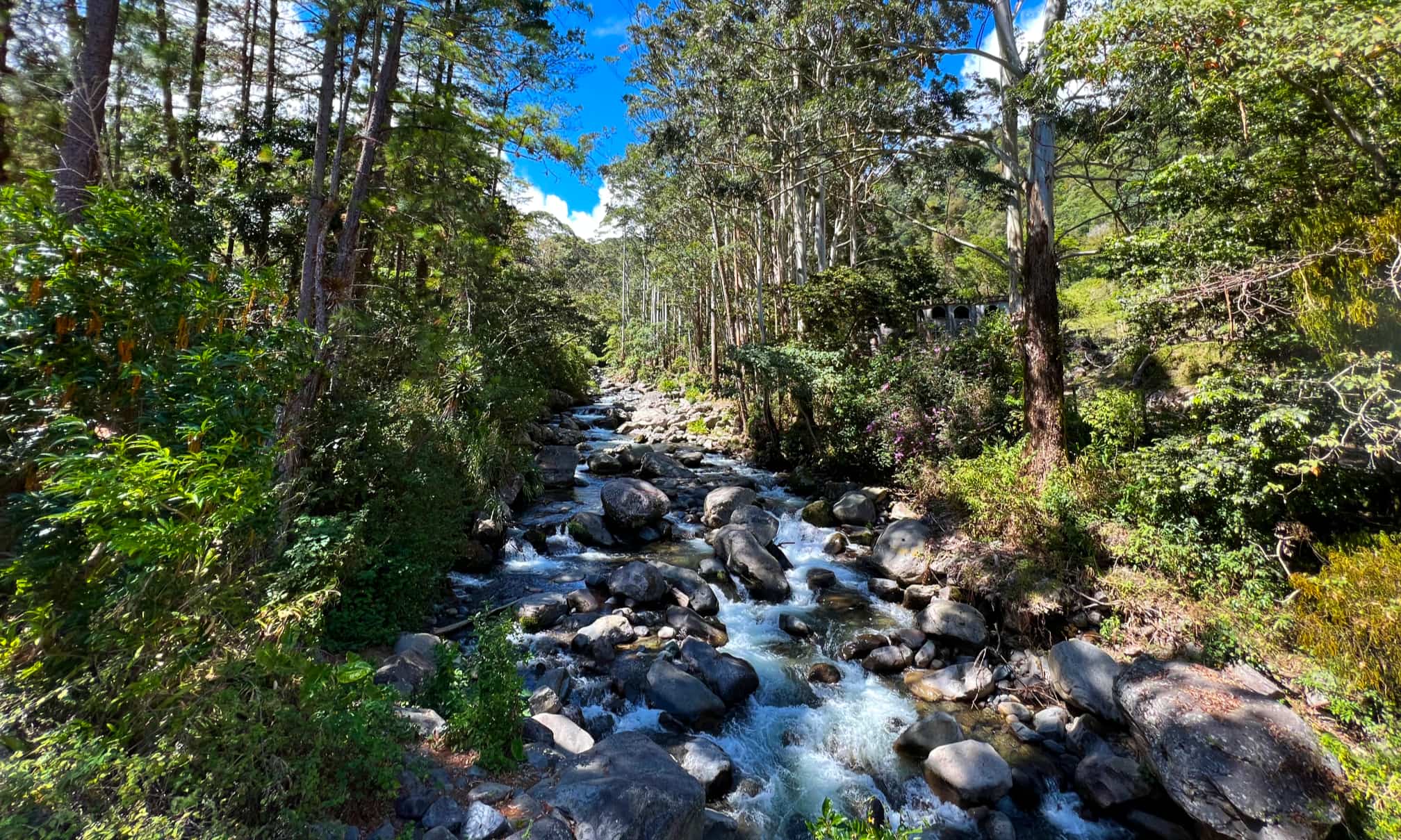 Boquete Wandern Panama