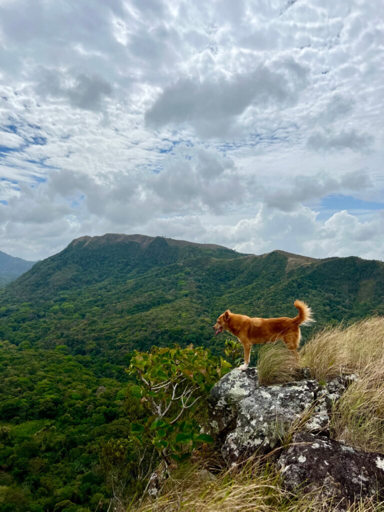 Valle de Anton Wandern Panama