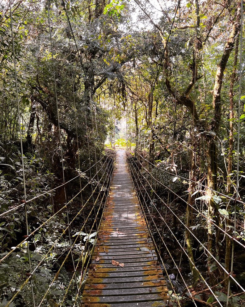 Juan Castro NP Costa Rica
