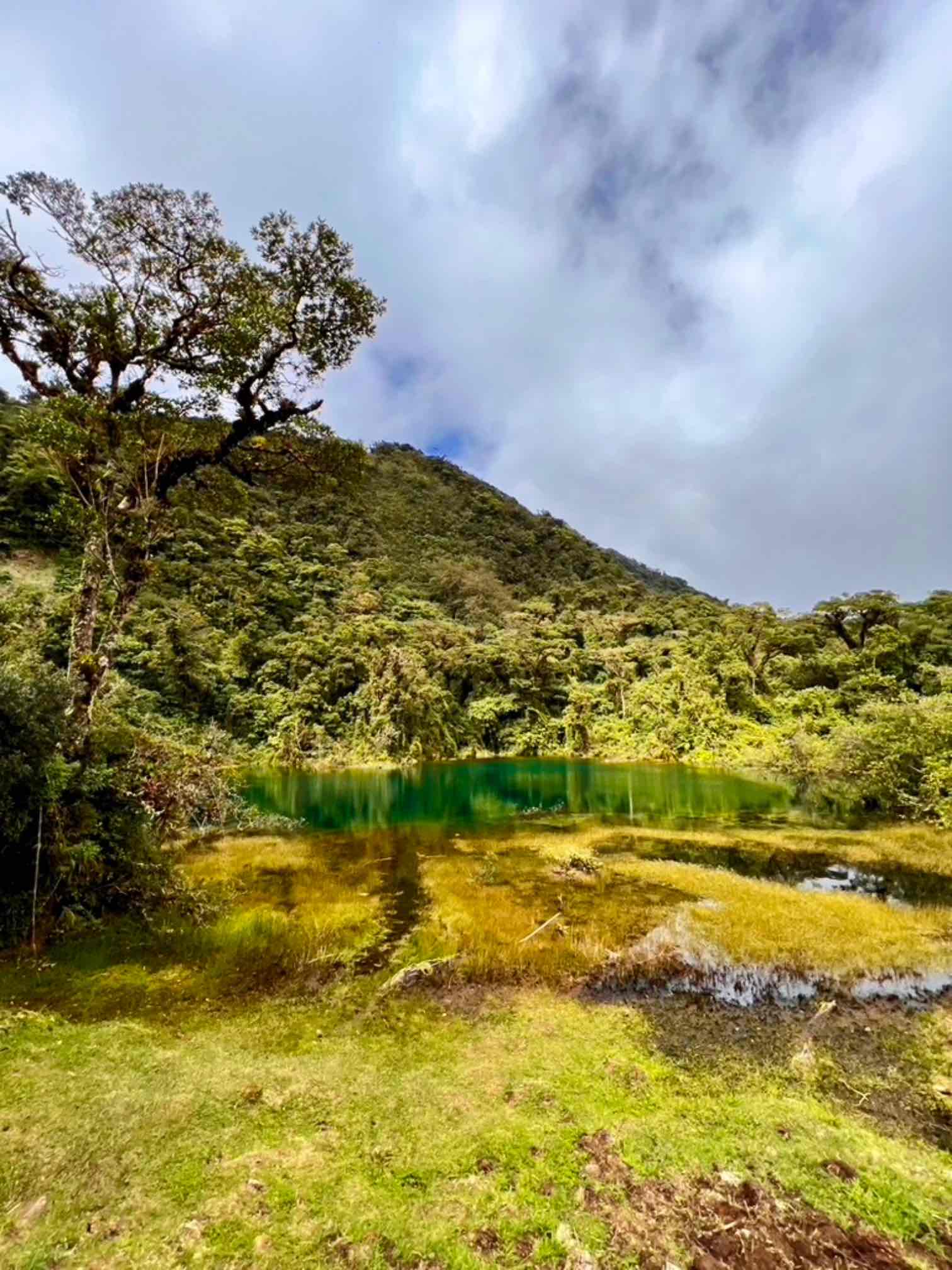 Juan Castro NP Costa Rica