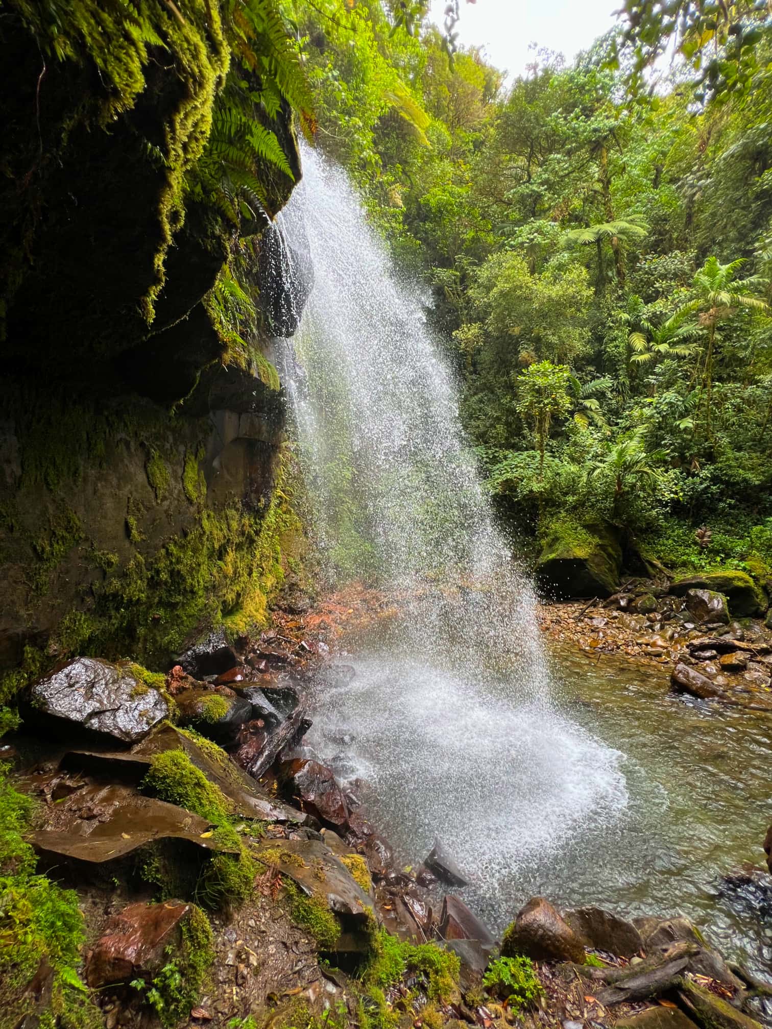 Lost Waterfalls Wandern Panama