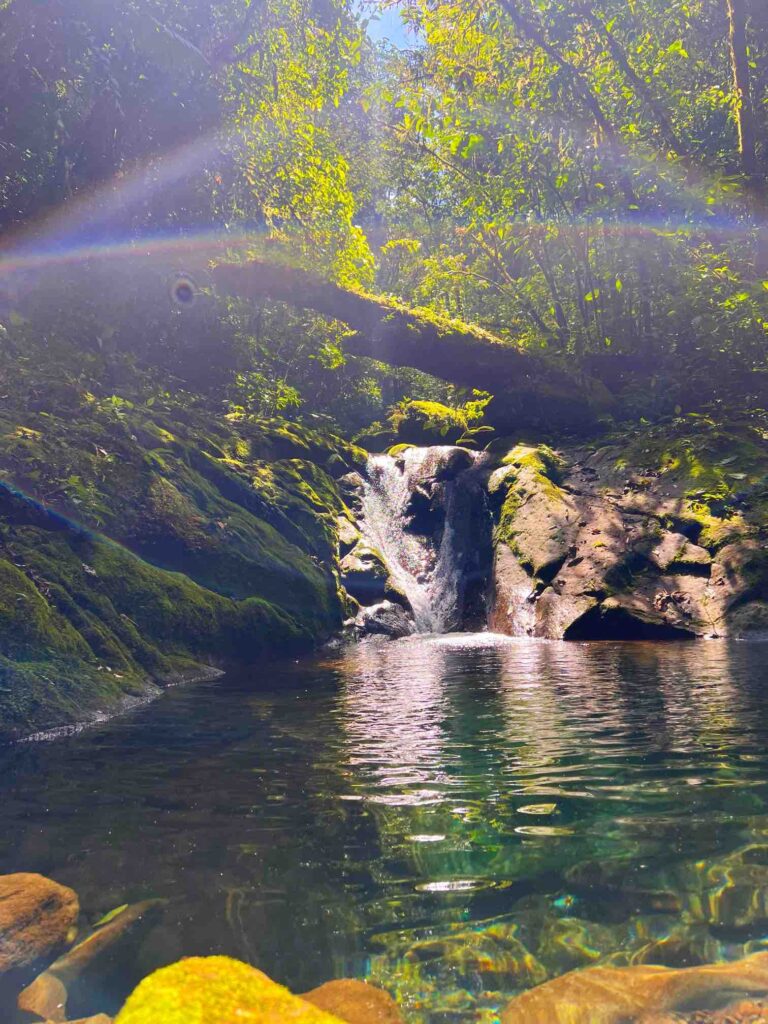 Sweet Jungle Costa Rica